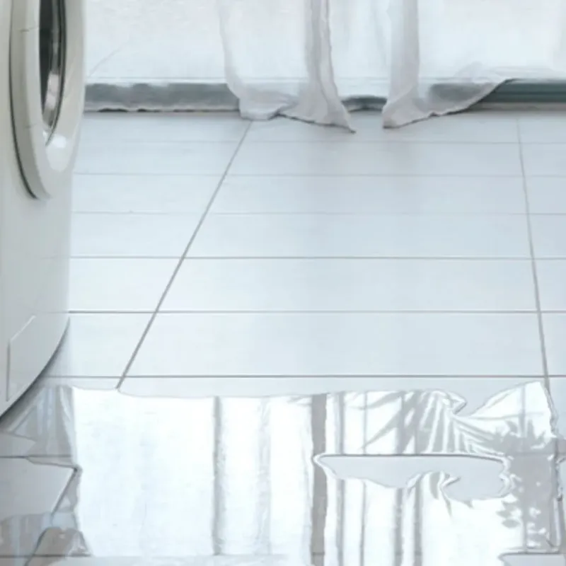 Appliance Leak Cleanup in Travis Ranch, TX