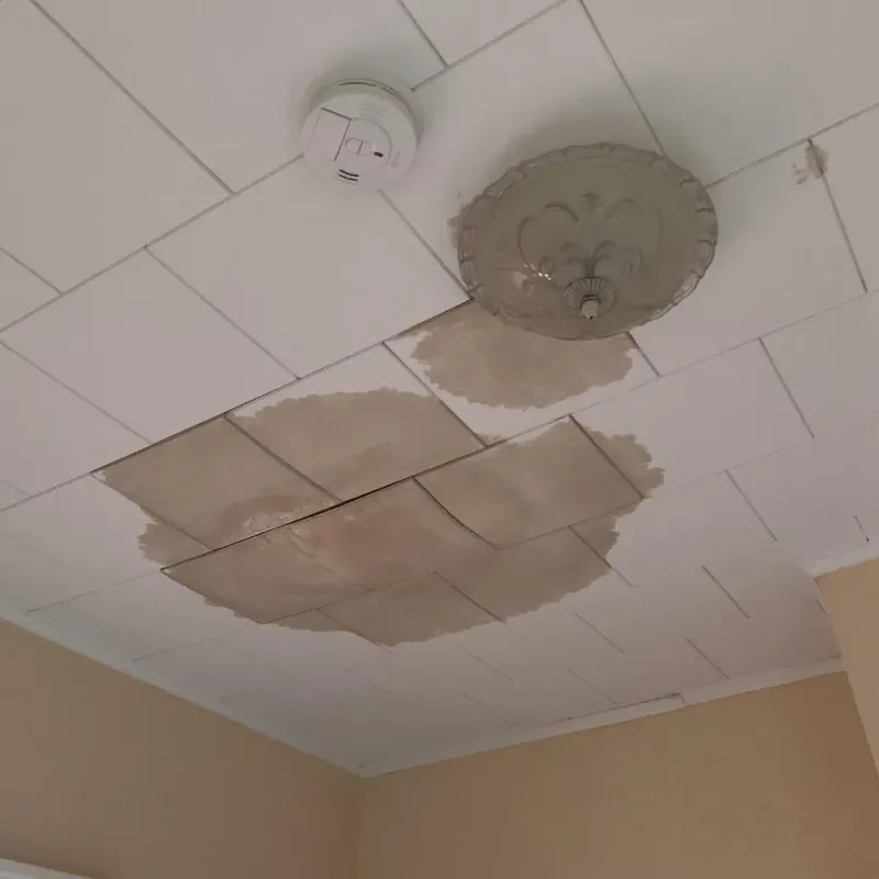 Ceiling Water Damage Repair in Travis Ranch, TX