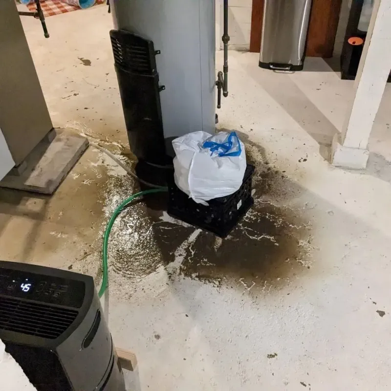Sewage Backup Cleanup Service in Travis Ranch, TX